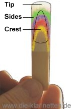 The reed's areas